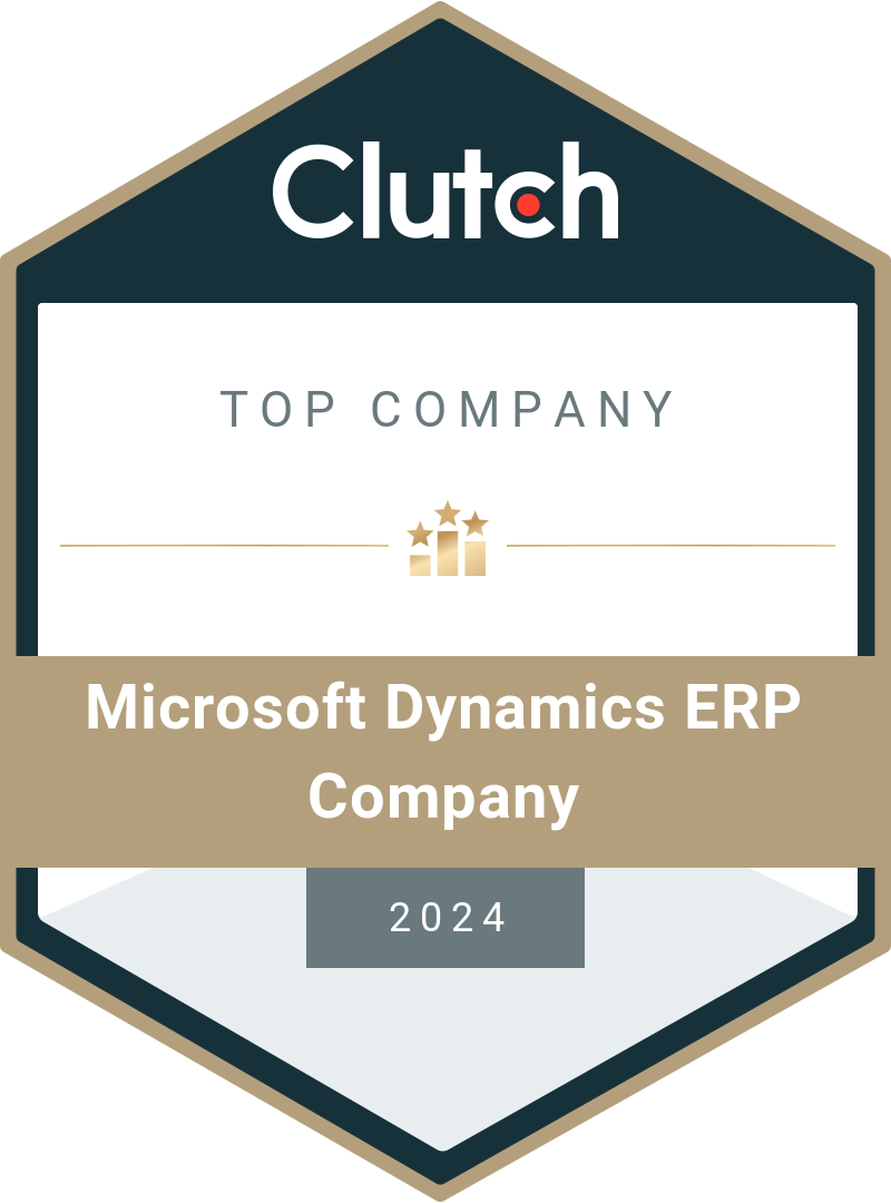 Microsoft Dynamics ERP services